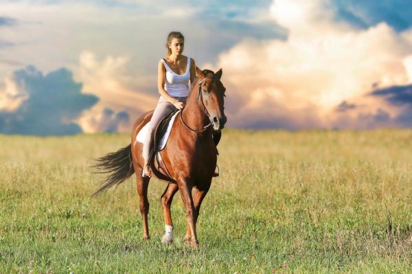 Benefici dell'Equitazione - Quali Sono