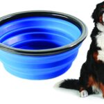 Ciotola per cani pieghevole - Come Scegliere e Prezzi Ciotola per cani pieghevole - Come Scegliere e Prezzi