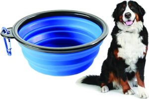Ciotola per cani pieghevole - Come Scegliere e Prezzi